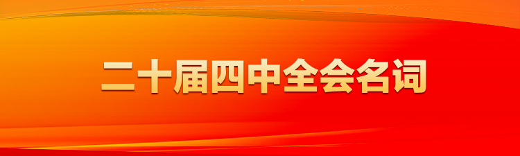 二十届四中全会名词